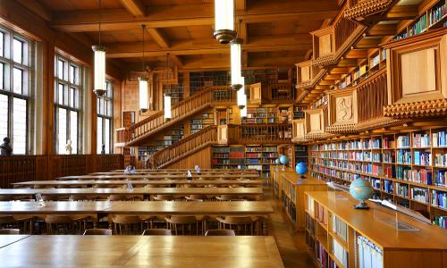 Библиотечно-информационная деятельность: кем работать и где учиться?